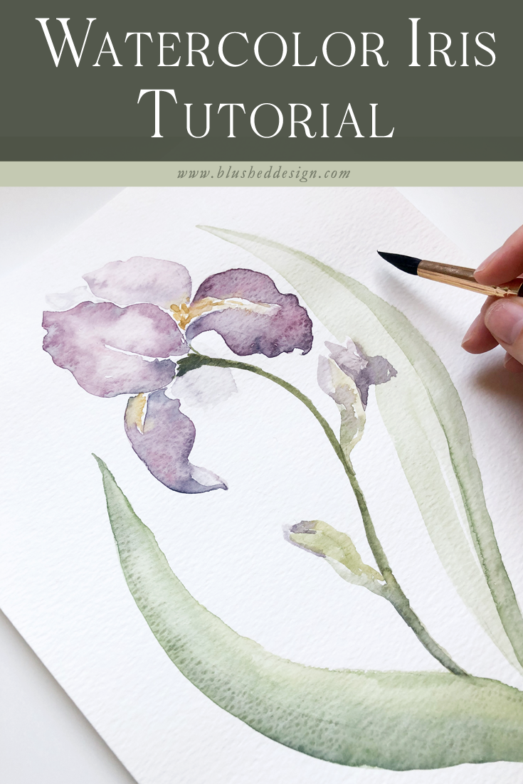 How to Paint a Watercolor Iris — Loose Watercolors