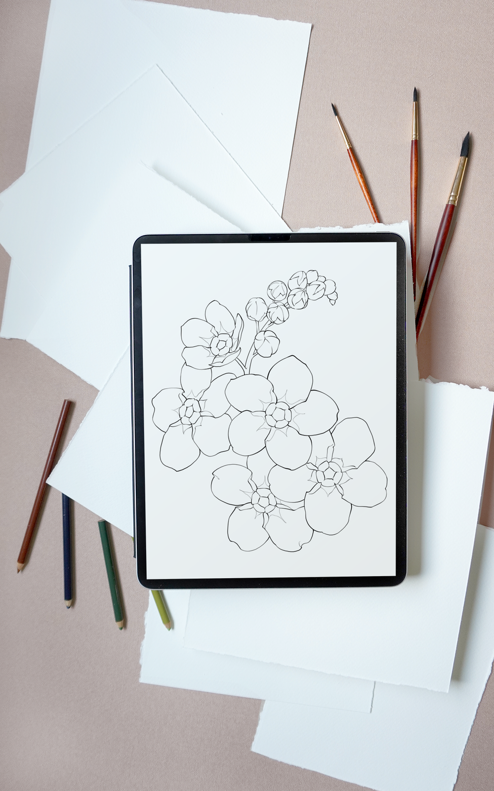 Forget Me Not Flowers Painting Template Coloring Page Katria Crouch Blushed Design