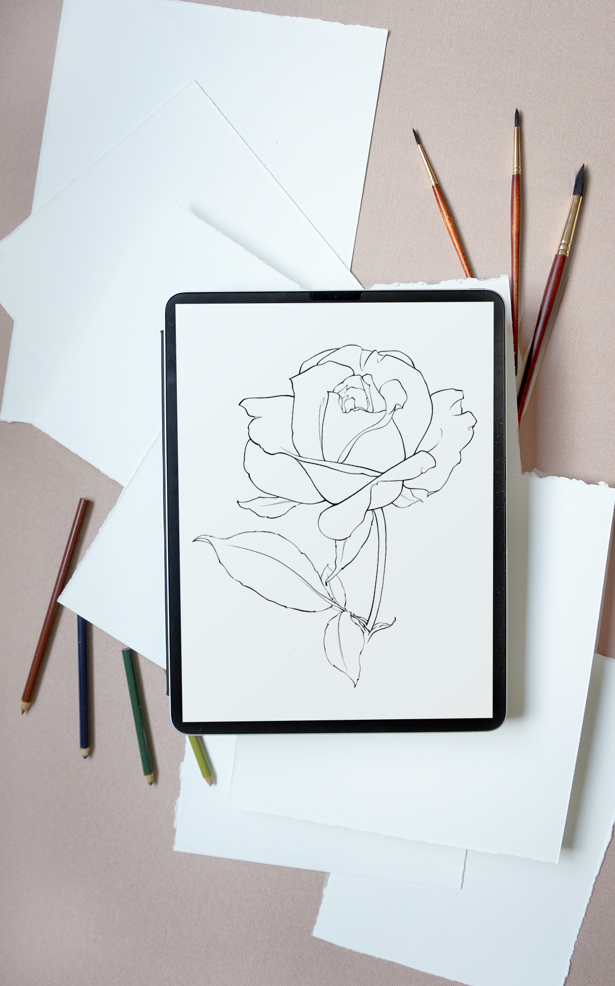 Rose-coloring-page.png