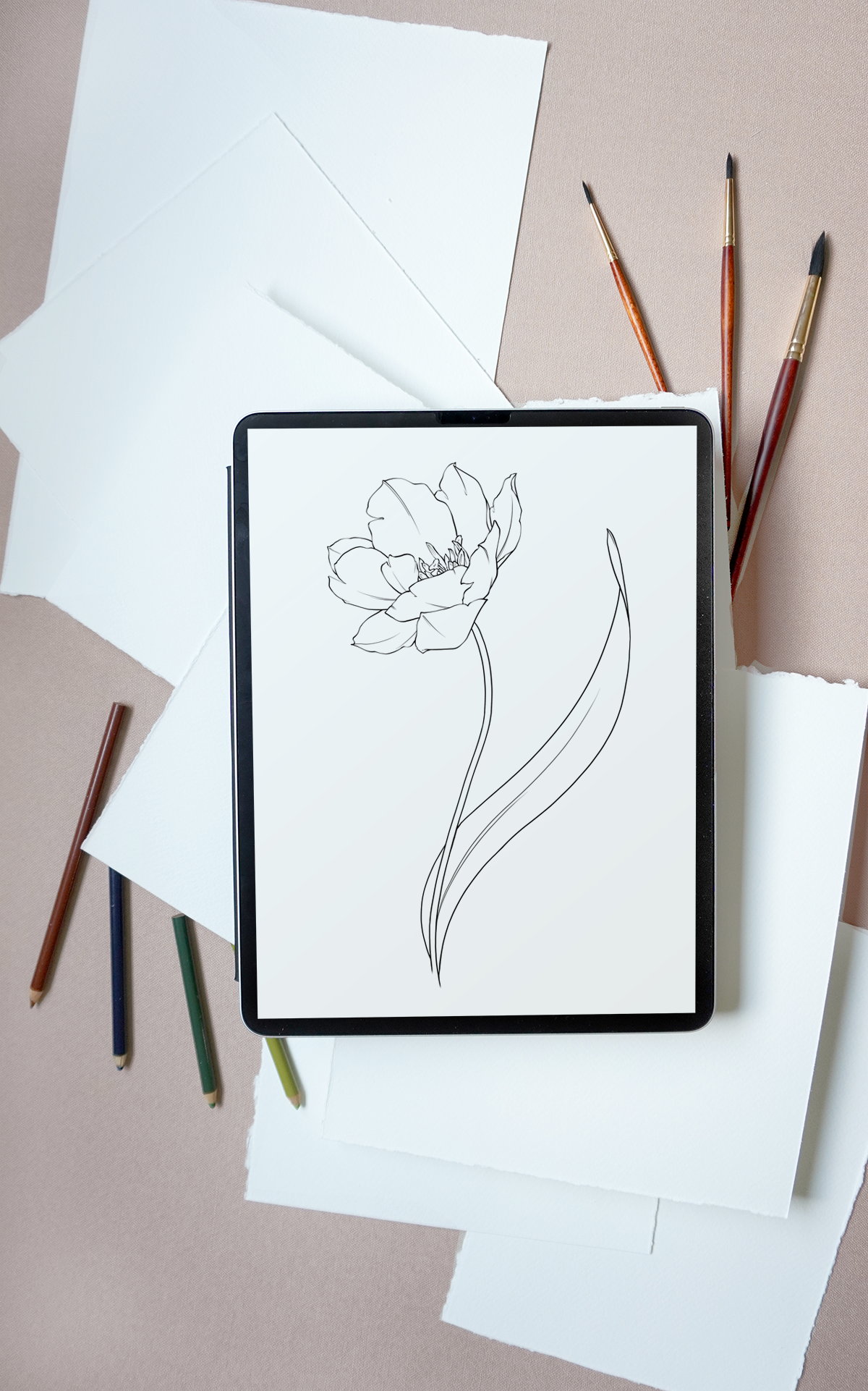 Tulip-coloring-page.png