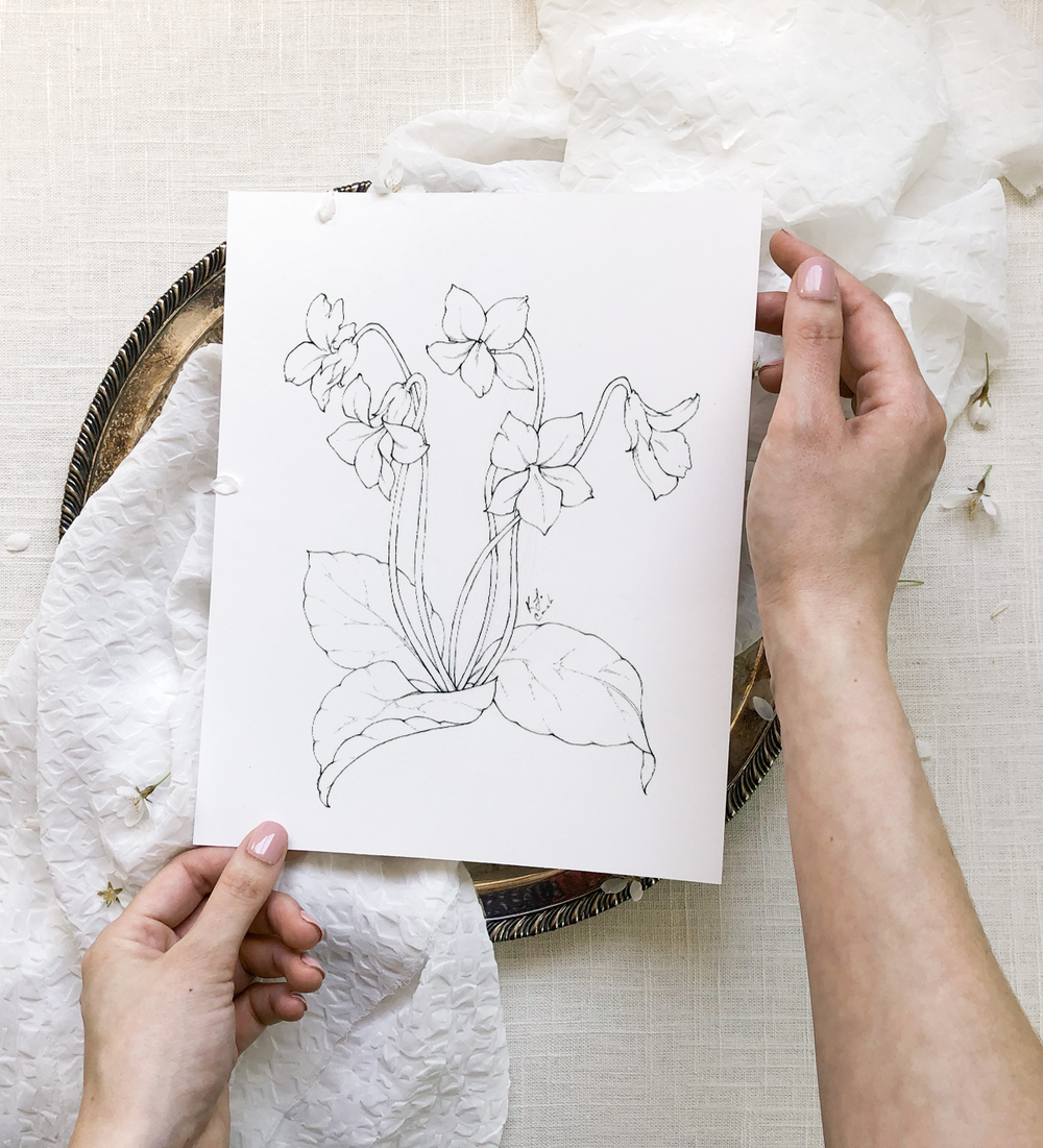 flower drawings — The Atelier Blog — Katrina Crouch | Blushed Design