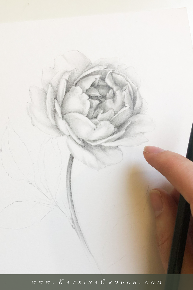 How to Shade Flowers with a Pencil — Katrina Crouch | Blushed Design