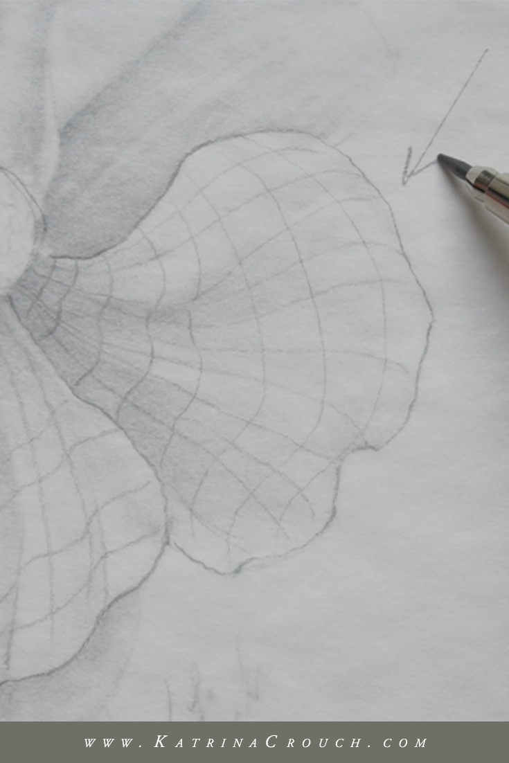How to Shade Flowers with a Pencil — Katrina Crouch