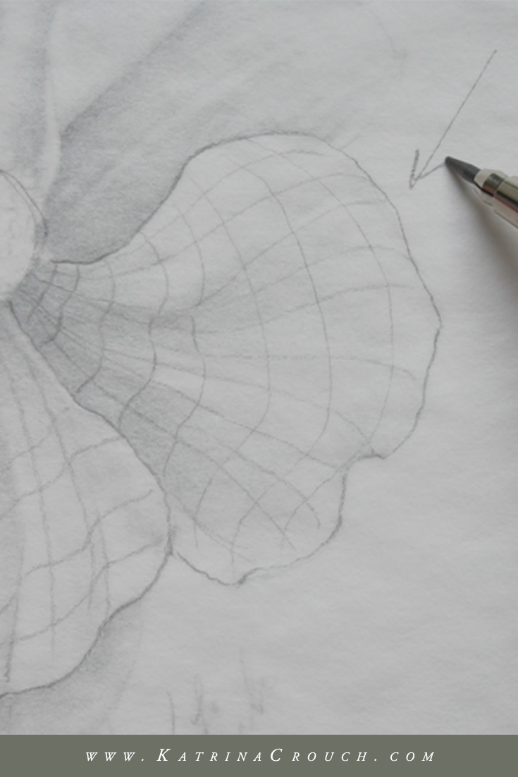 How to Shade Flowers with a Pencil — Katrina Crouch | Blushed Design