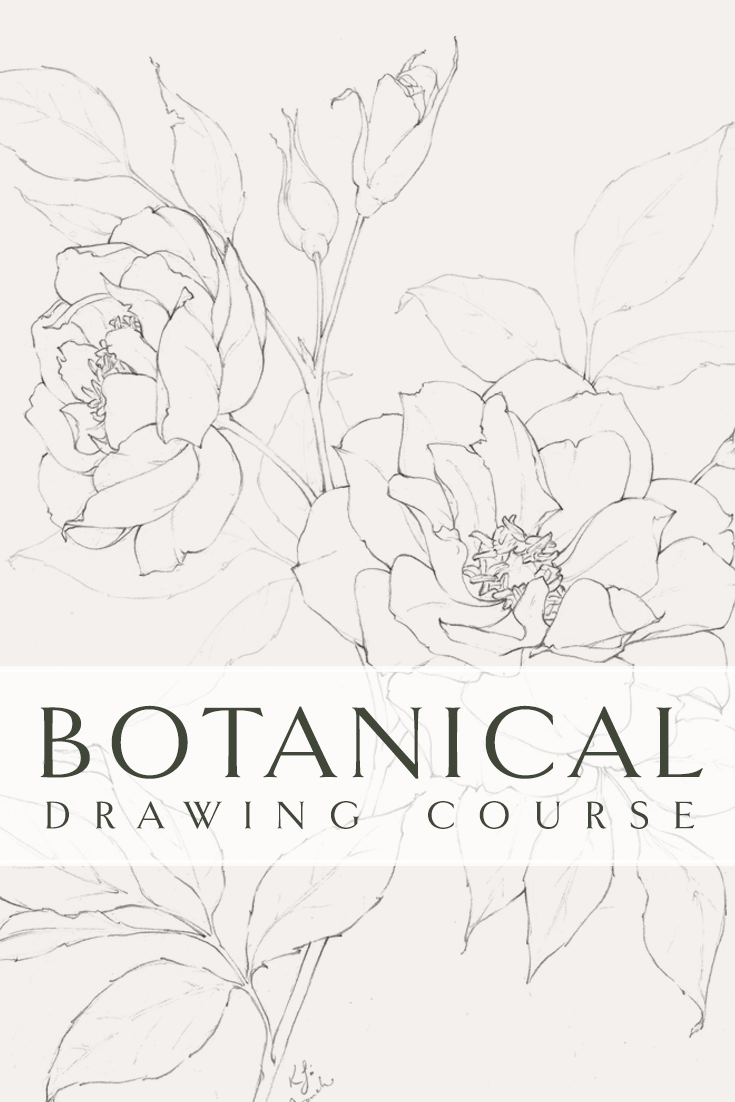 Technique Flower Drawing Art Set, Digital Lessons, Level 1