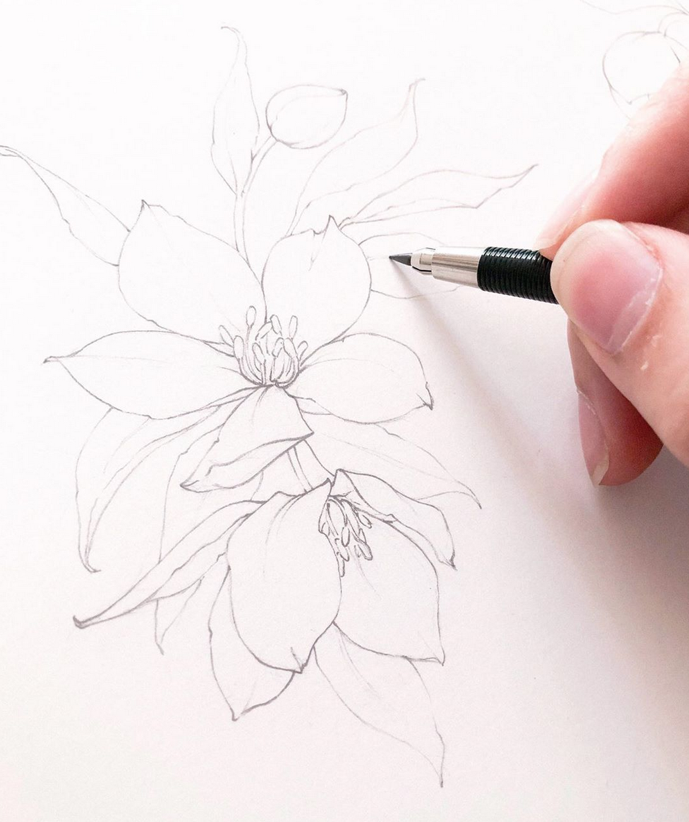 Beautiful-flower-drawings.png
