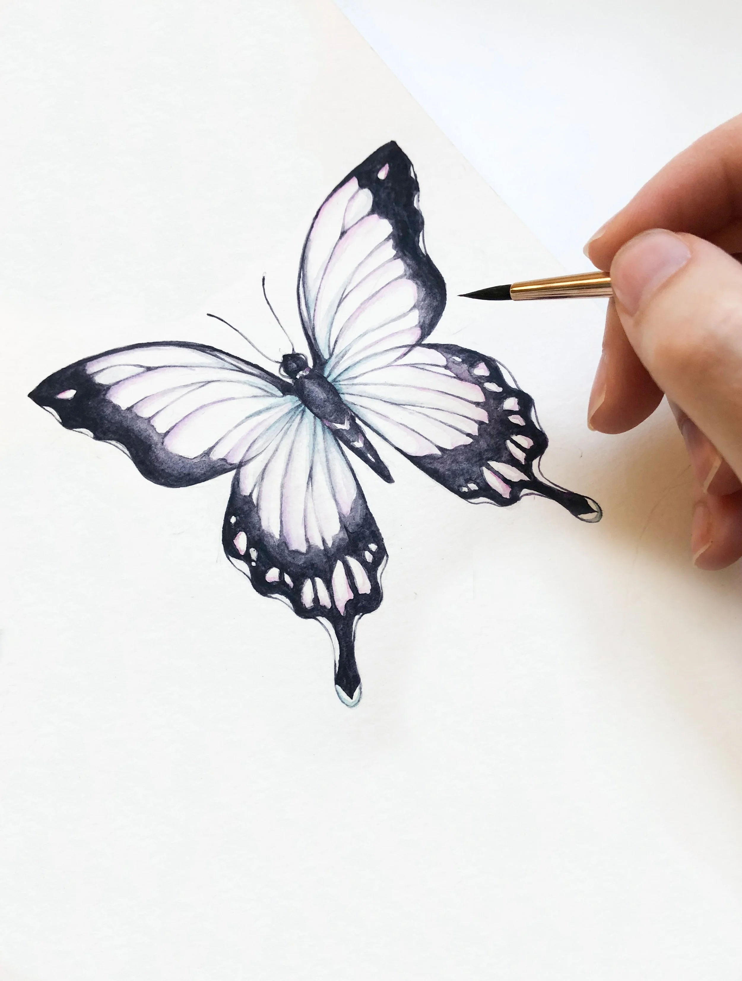 Daniel Smith Butterfly.jpg