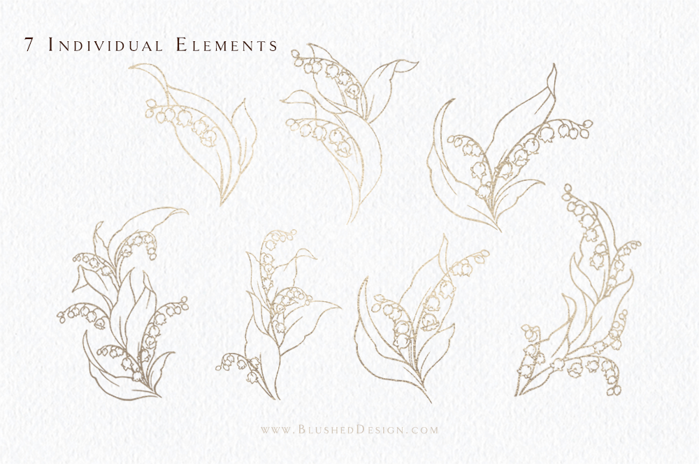 Lily-of-the-valley-Flower-Drawings-Wedding.png