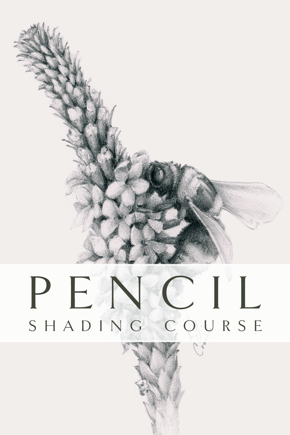 Introduction To Shading