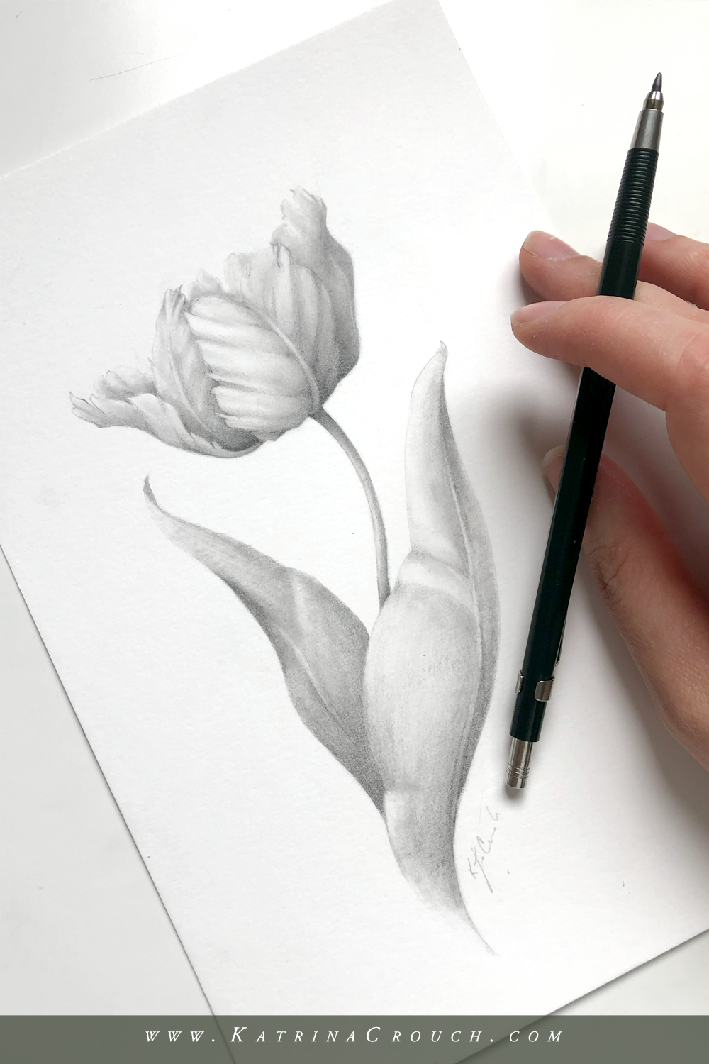 How to Shade Flowers with a Pencil — Katrina Crouch | Blushed Design