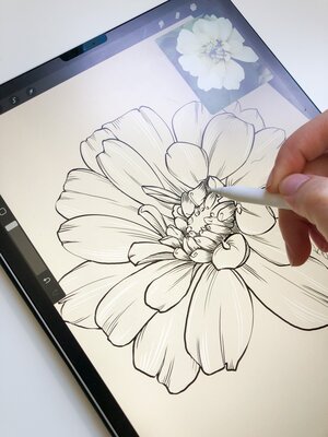 Método Fanart 3.0 - Curso Online  Cool art drawings, Flower drawing, Art  drawings simple