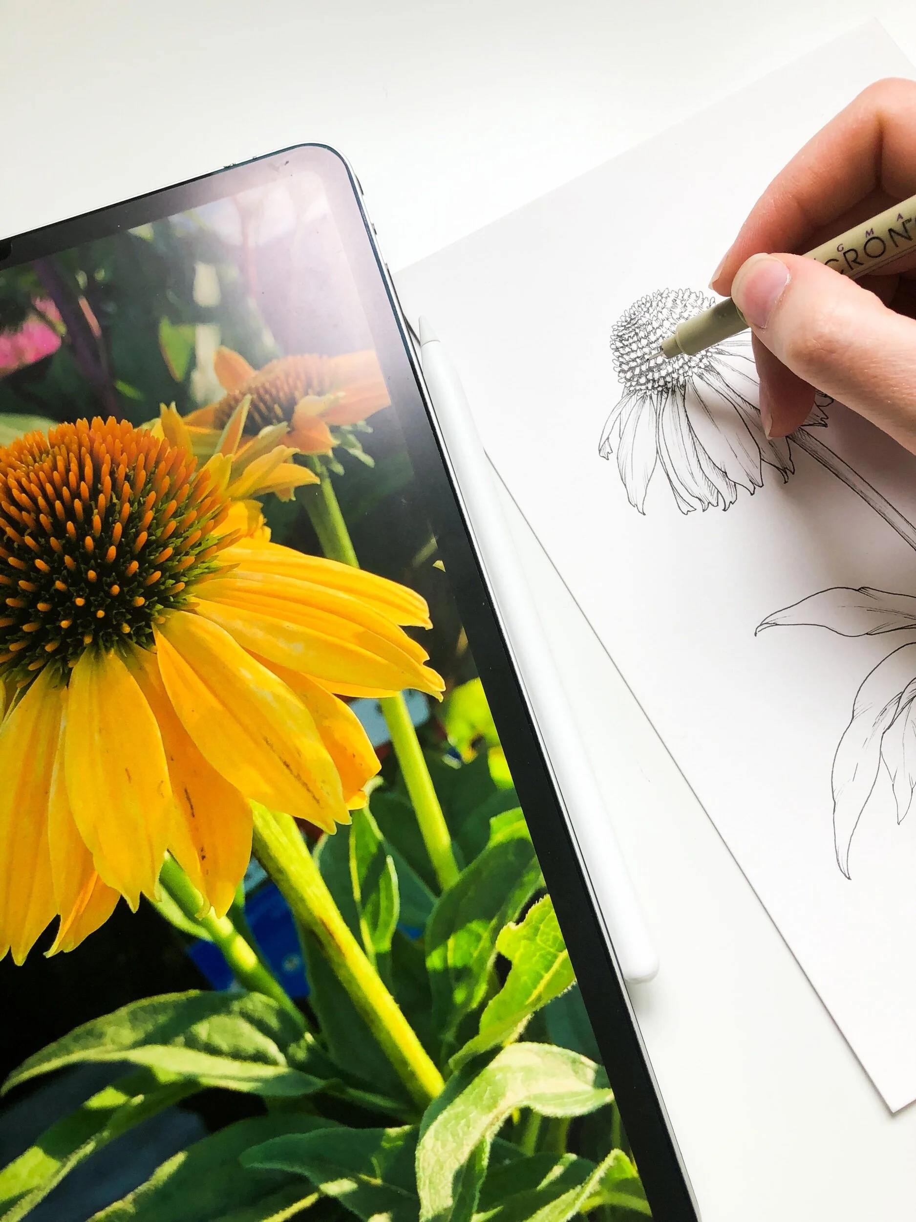 F65CA764-54B0-4B9E-9E70-A5707EAC0BB7