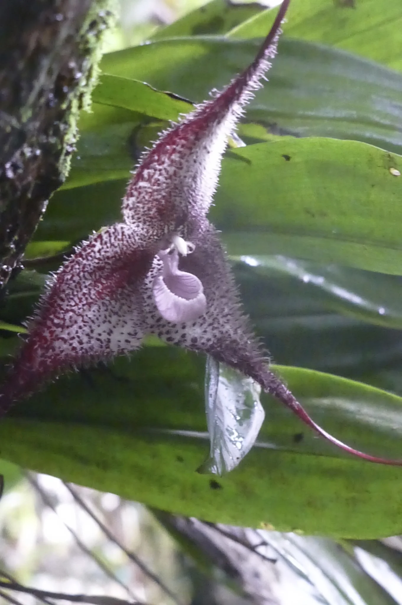 P1000477.jpg