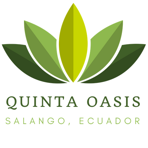 Quinta Oasis - Investment Property on the Coast of Ecuador