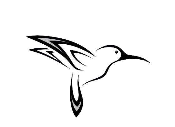 Hummingbird Transparent.png