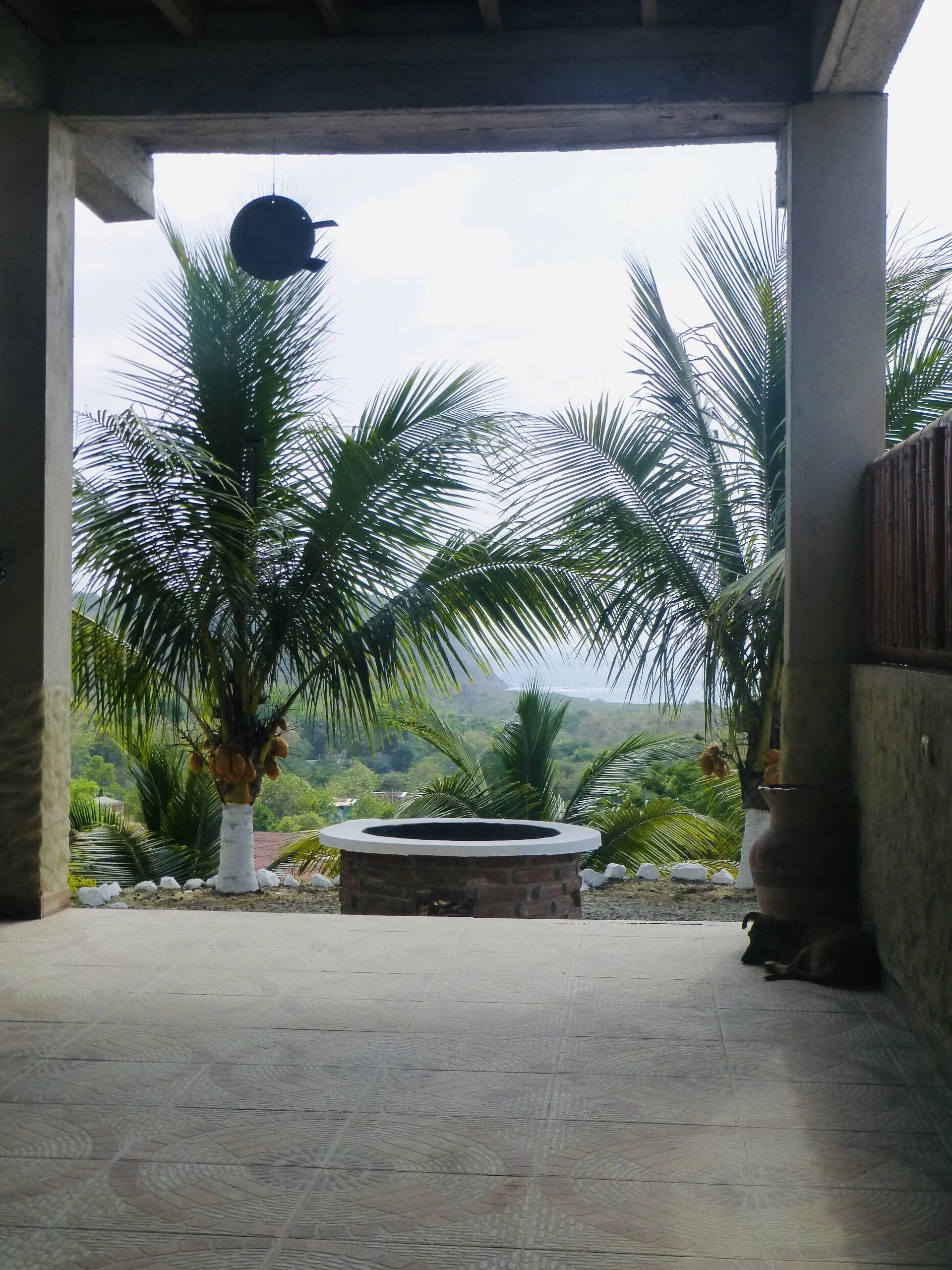 Fire pit views from the community room