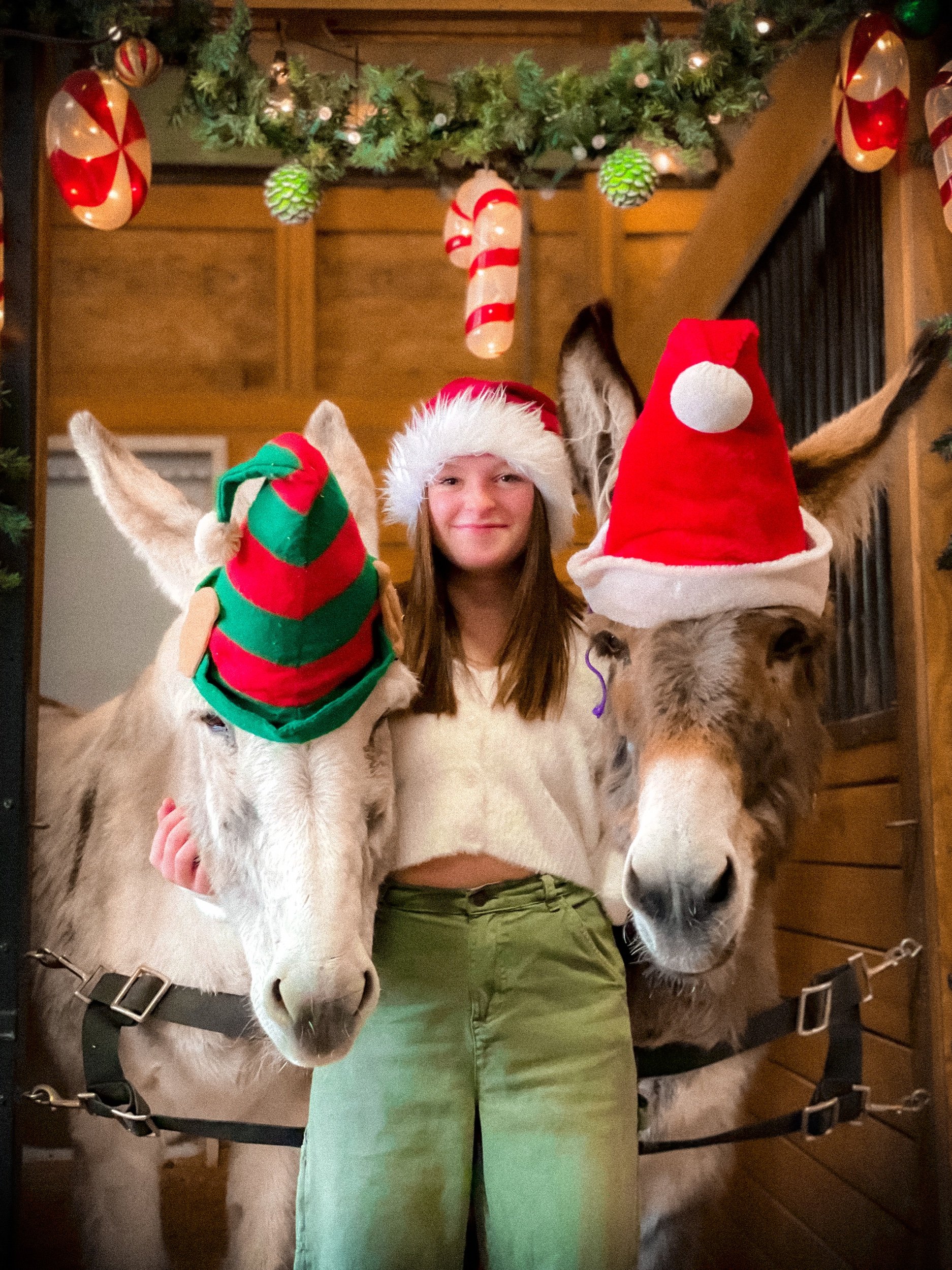 Christmas Mini Photos @ The Random Ranch - Castle Rock, Monument, Castle Pines