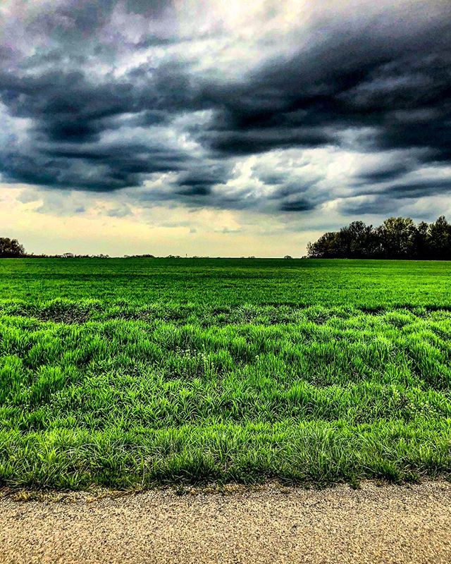 A good ol&rsquo; southeast kansas thunderstorm rolling in ⚡️
&bull;
&bull;
&bull;
&bull; 
#weather #kansas #midwest #thunderstorm #storm #midwestlife #weatherphotos #spring #clouds #country #kansasphotos #stormwarning #sky