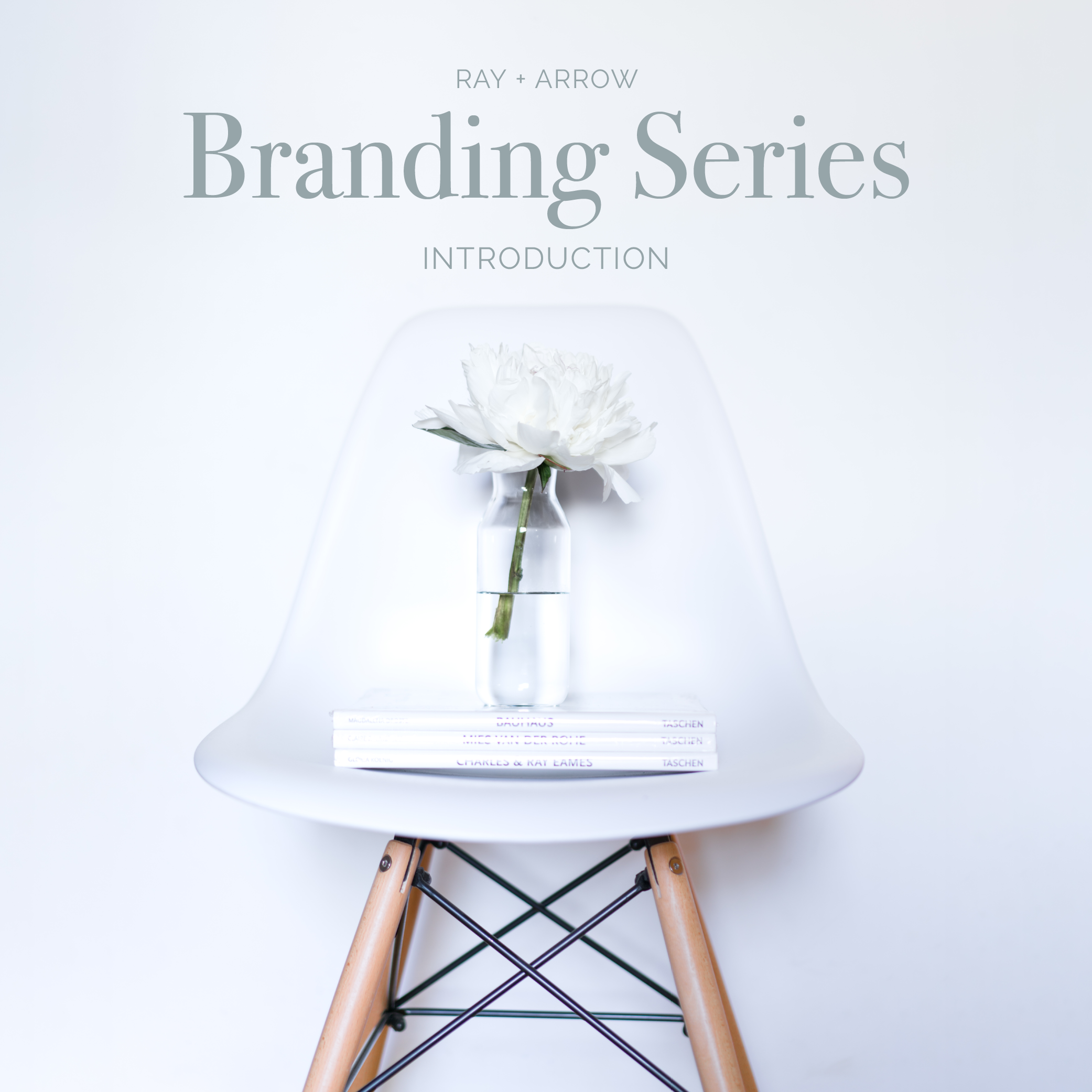 BrandingSeries_November2017.png