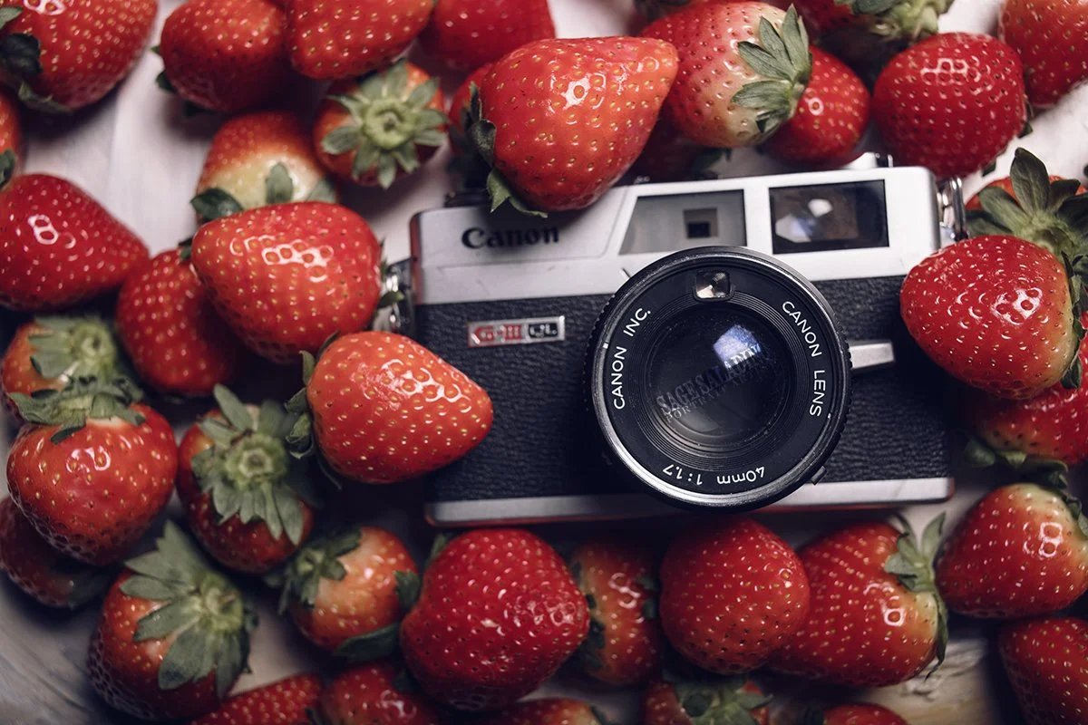 WEBFlatLay_April_2022_2.jpg