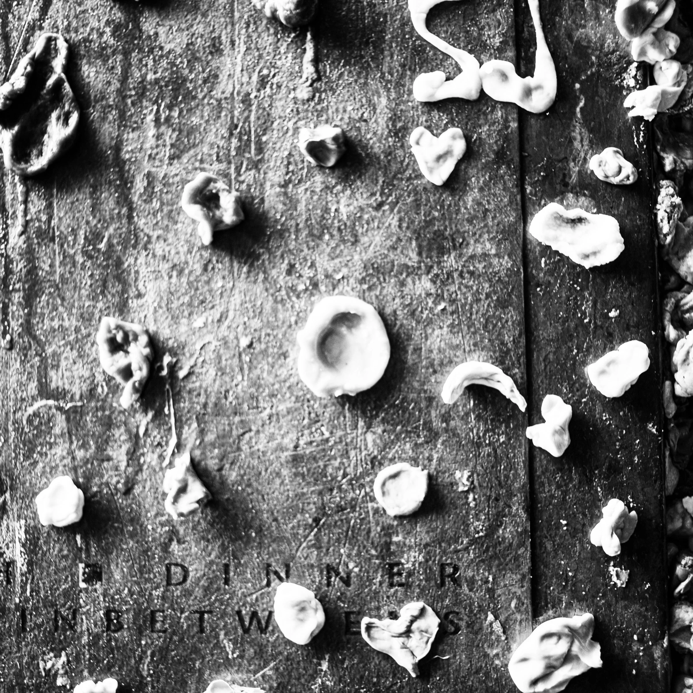 Summer of Family, Photos, and Personal Growth!