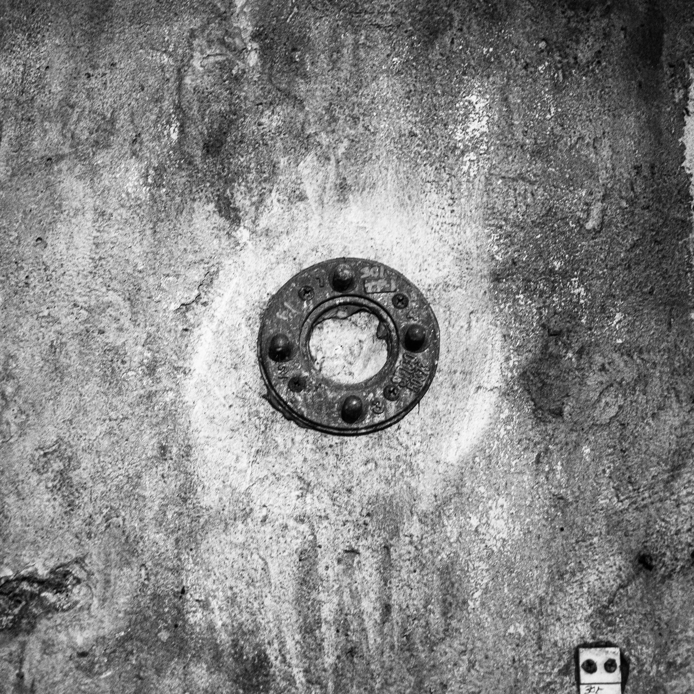 Circles of Seattle_07082024_069.jpeg