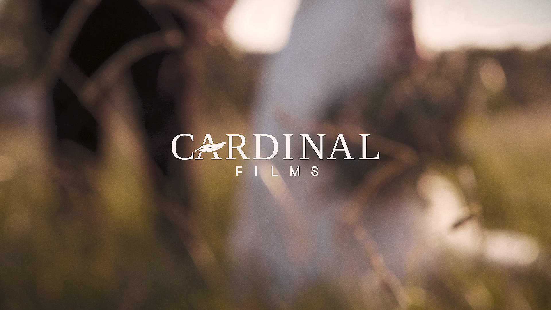 07 Stills.00_00_11_11.Still027.png
