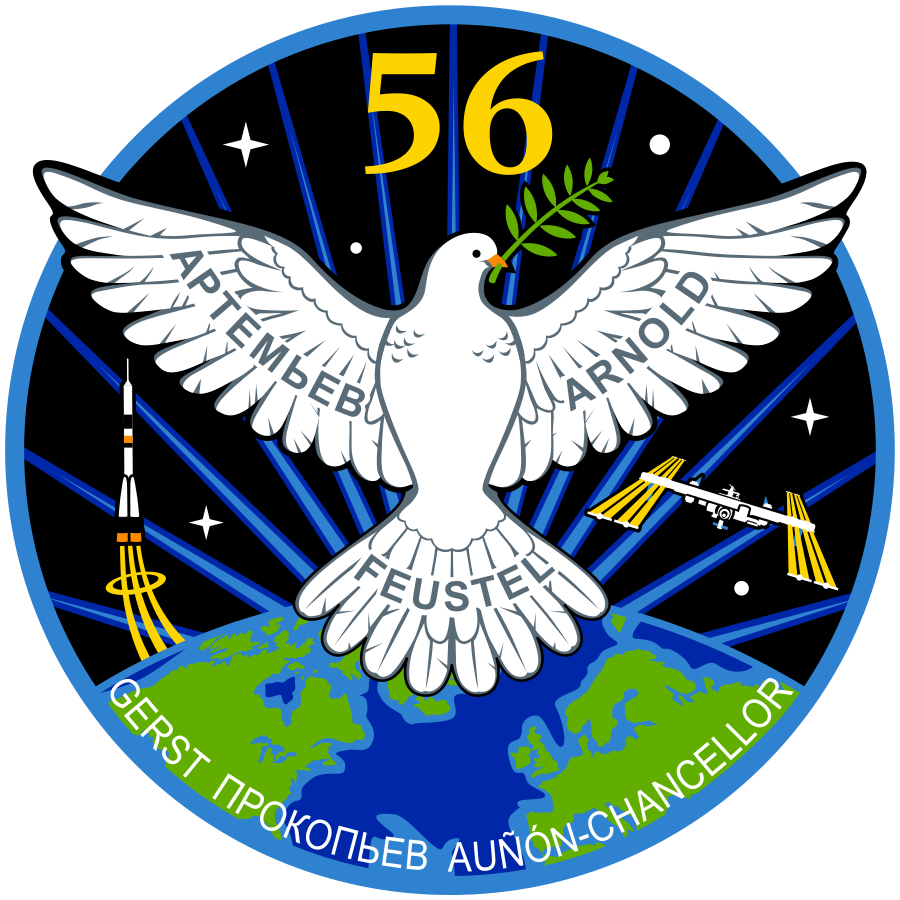 900px-ISS_Expedition_56_Patch.svg.png