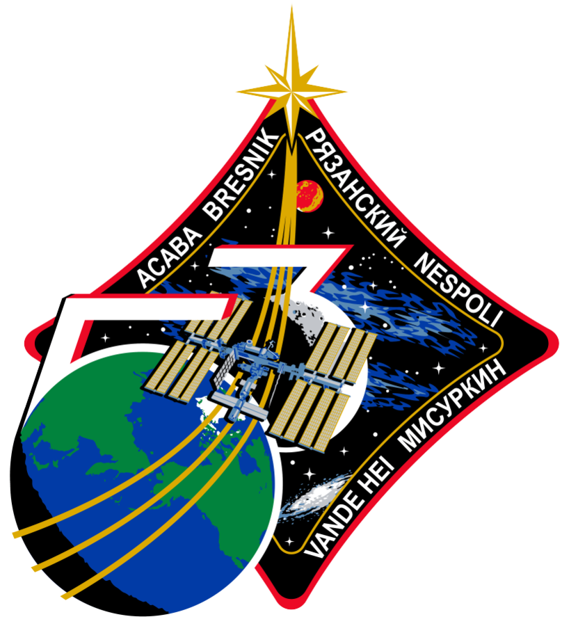 808px-ISS_Expedition_53_Patch.png
