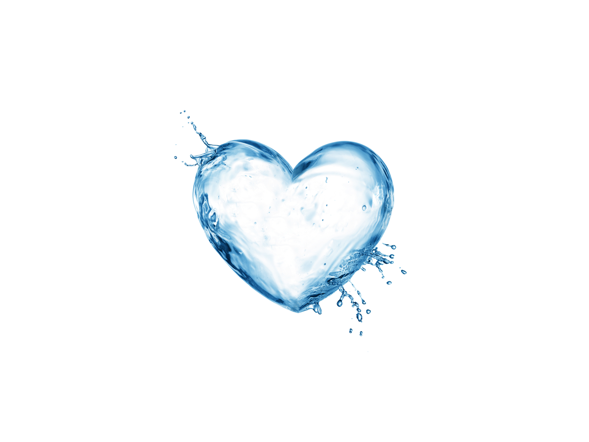 importance of water in the body