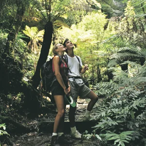 HIKING IN THE BLUE MOUNTAINS