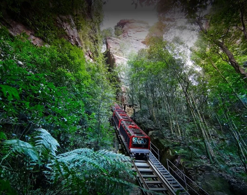 BLUE MOUNTAINS HIGHLIGHTS, WILDLIFE & SCENIC WORLD — Cloud 9 Tours