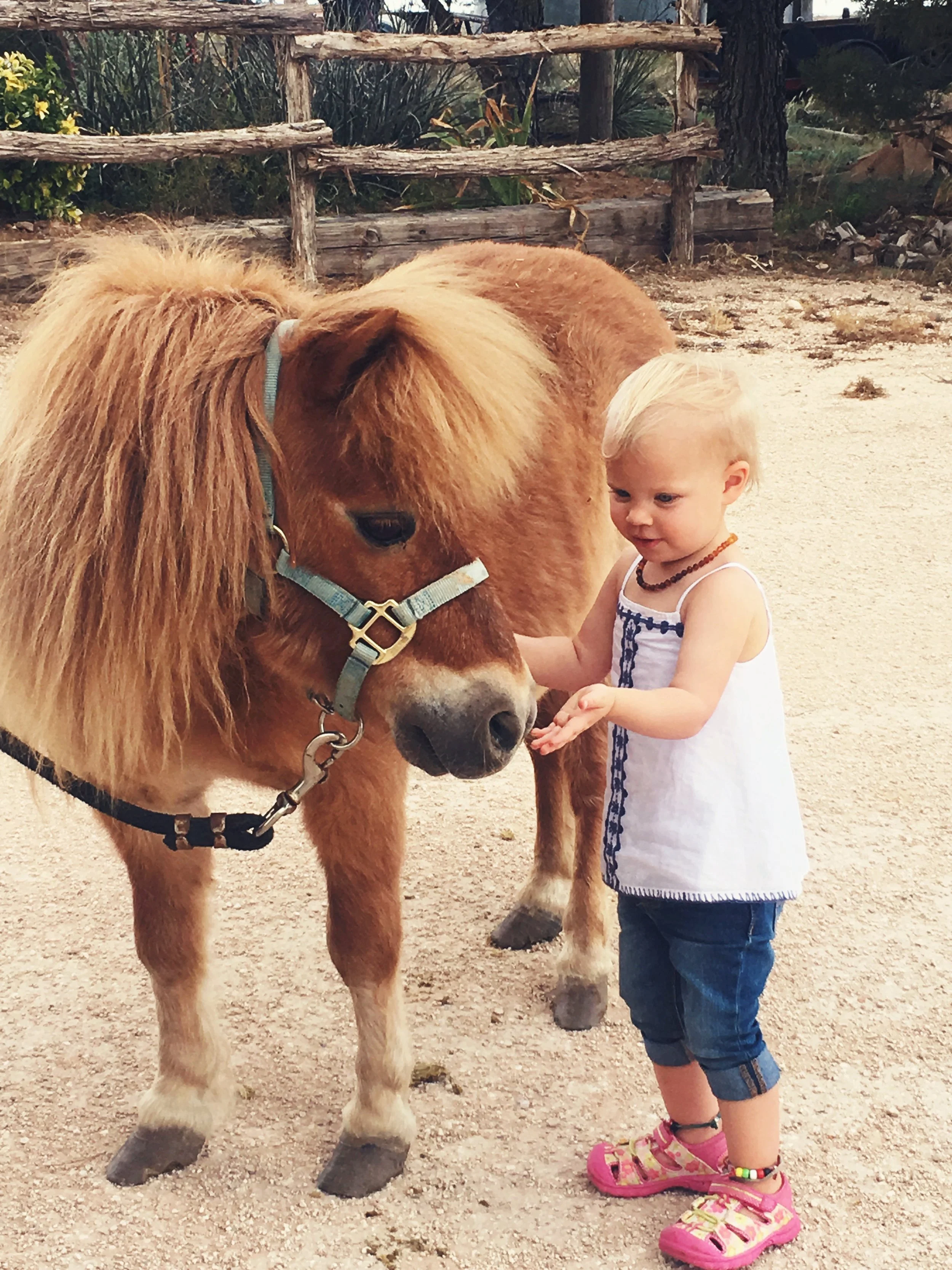 Boots & Buckles Benefit 2018