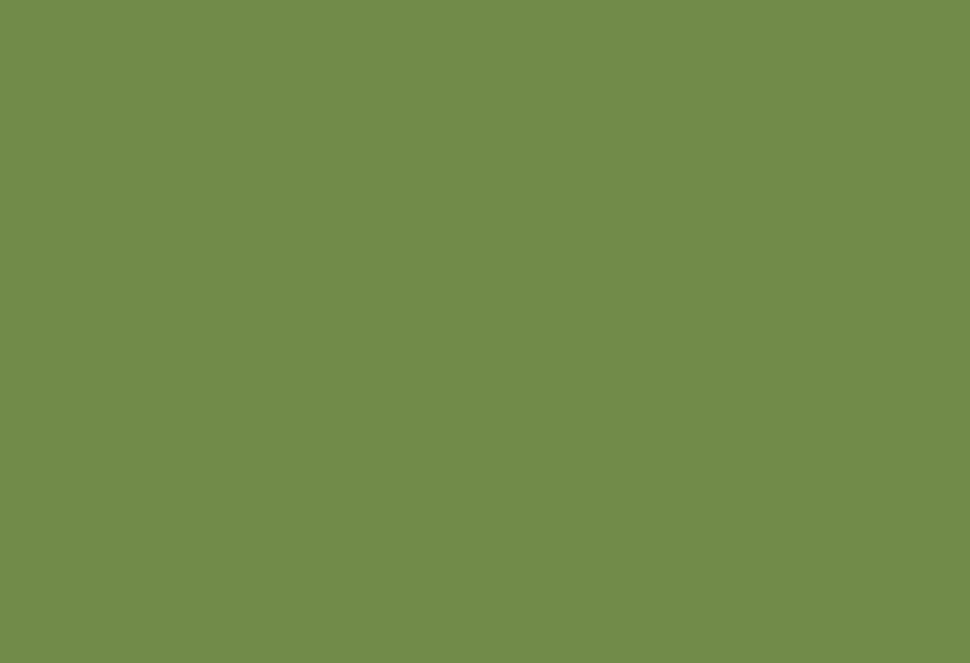 bgcolor-green.png