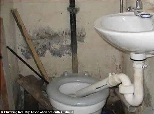 Toilet sink.jpg