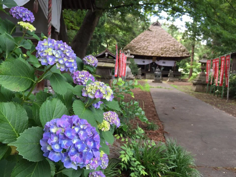 茅葺屋根の智識寺 Thatched-roof Chishiki-ji Temple