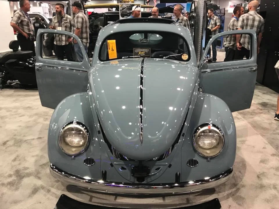 Bug 08.JPG