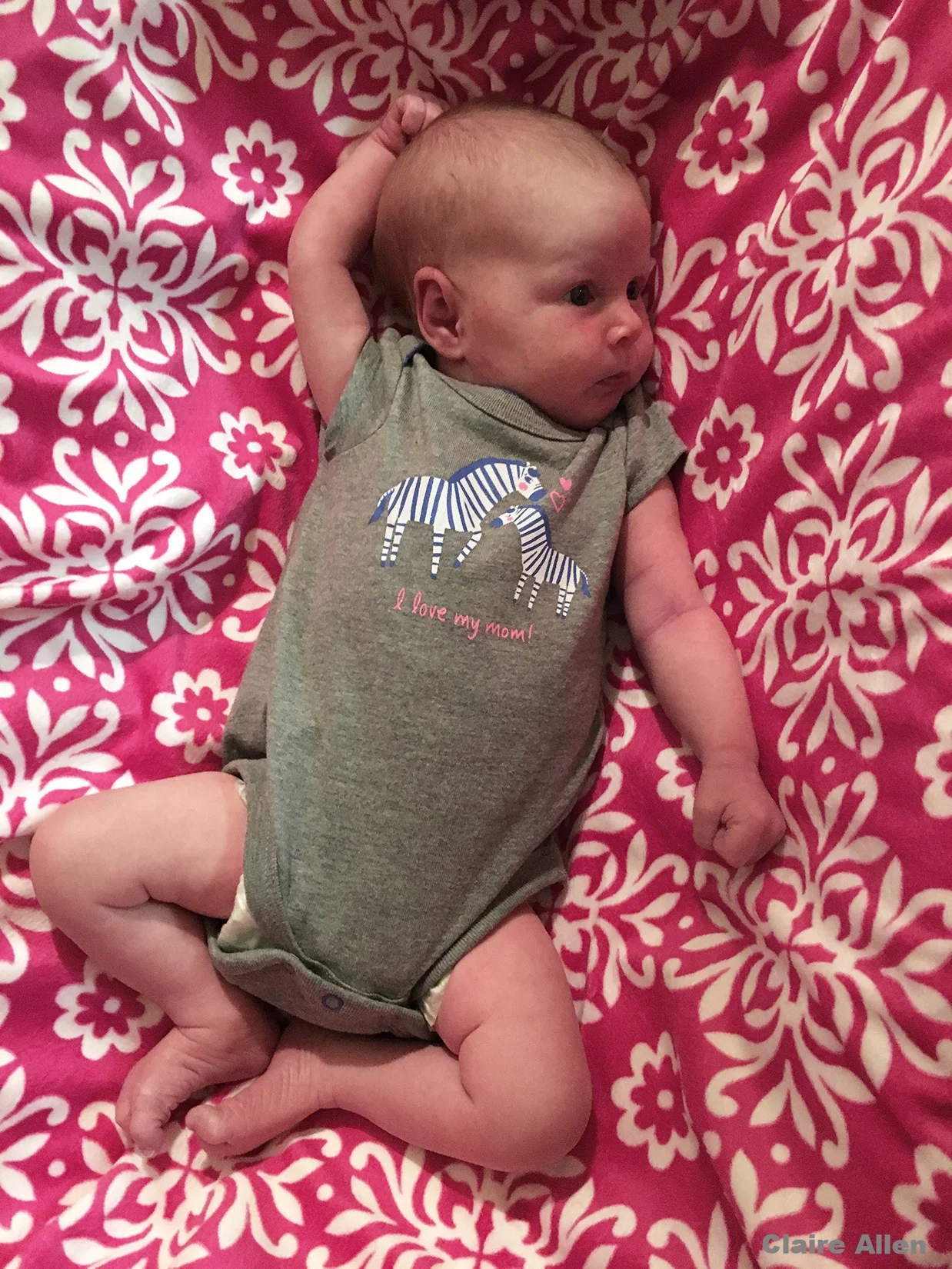  Butterfly Bouquet collection blanket.   