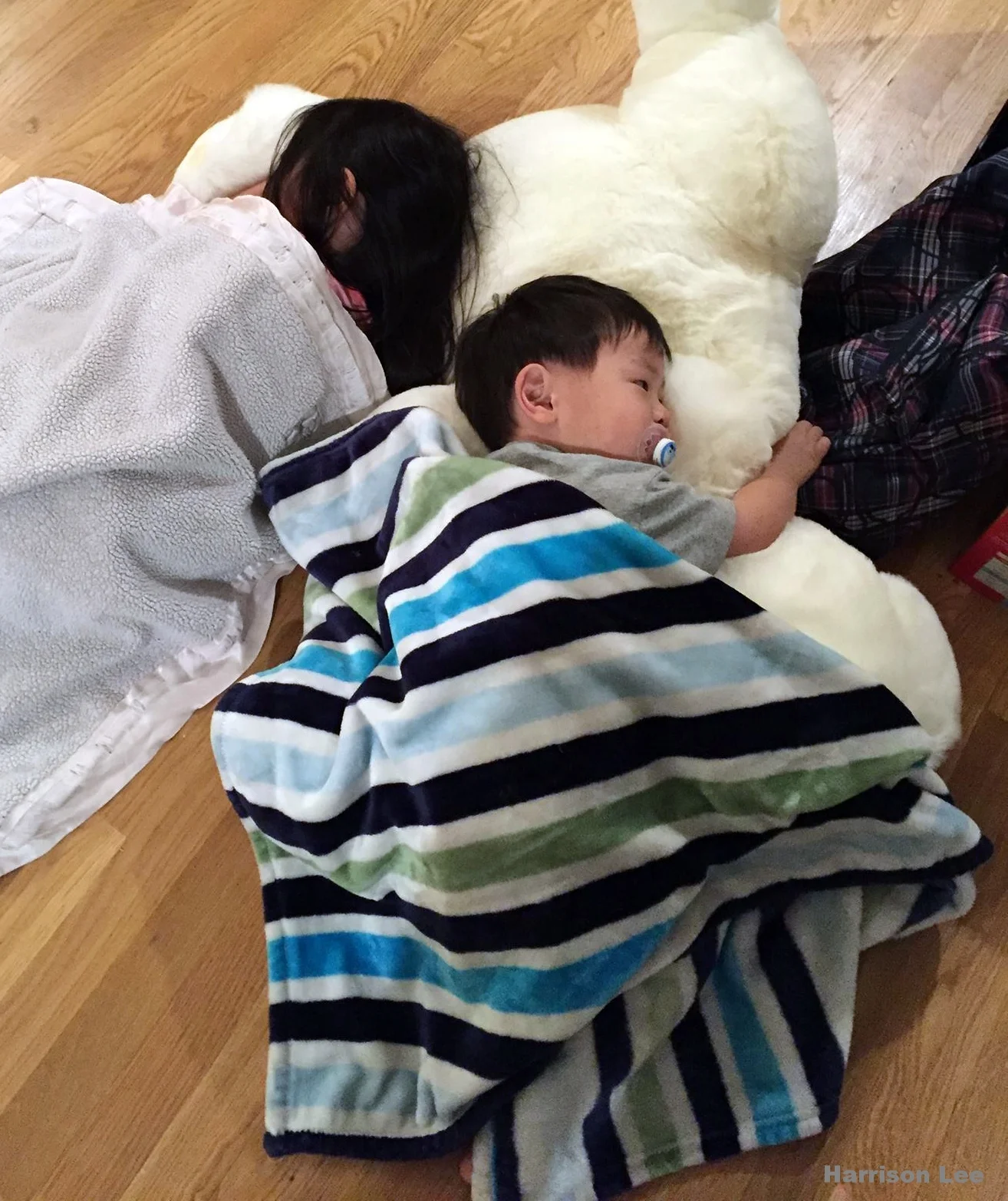 Harry Tung & Maddy crop.jpg