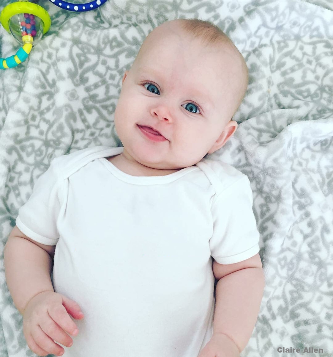  Grey damask print blanket.   