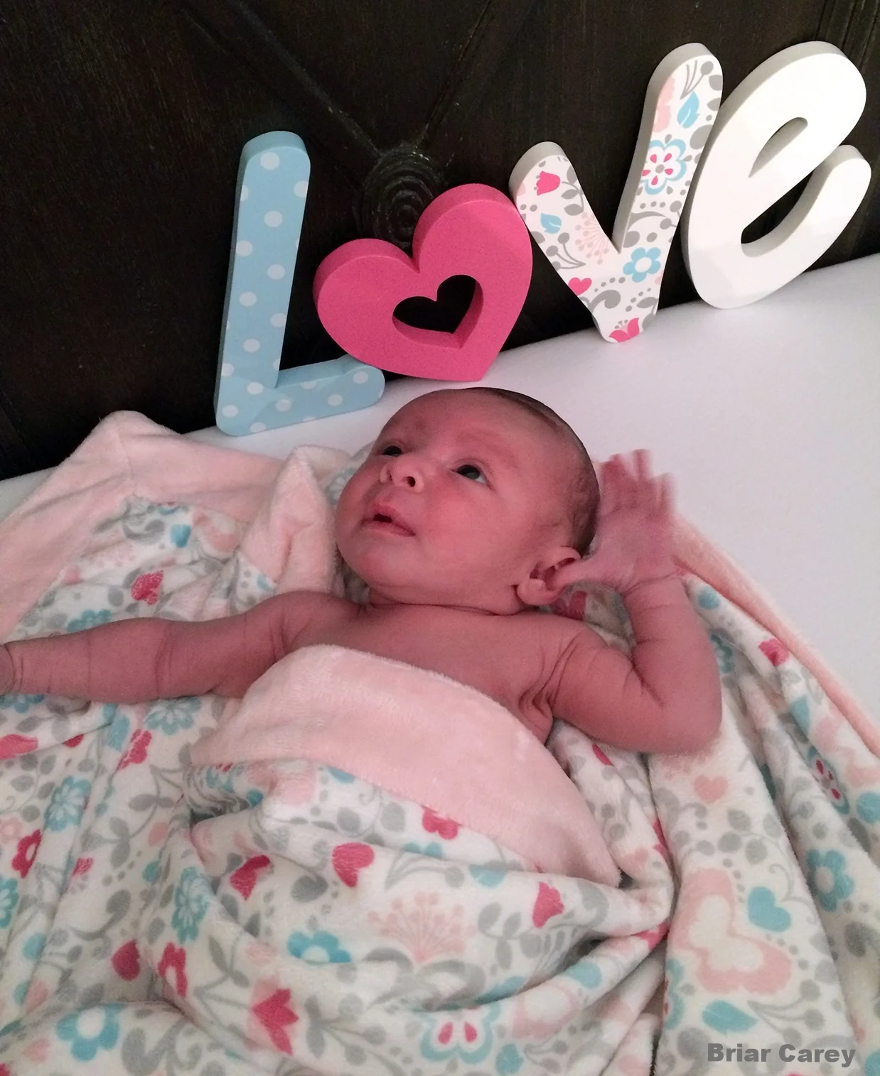 Briar in Bellisimo.jpg