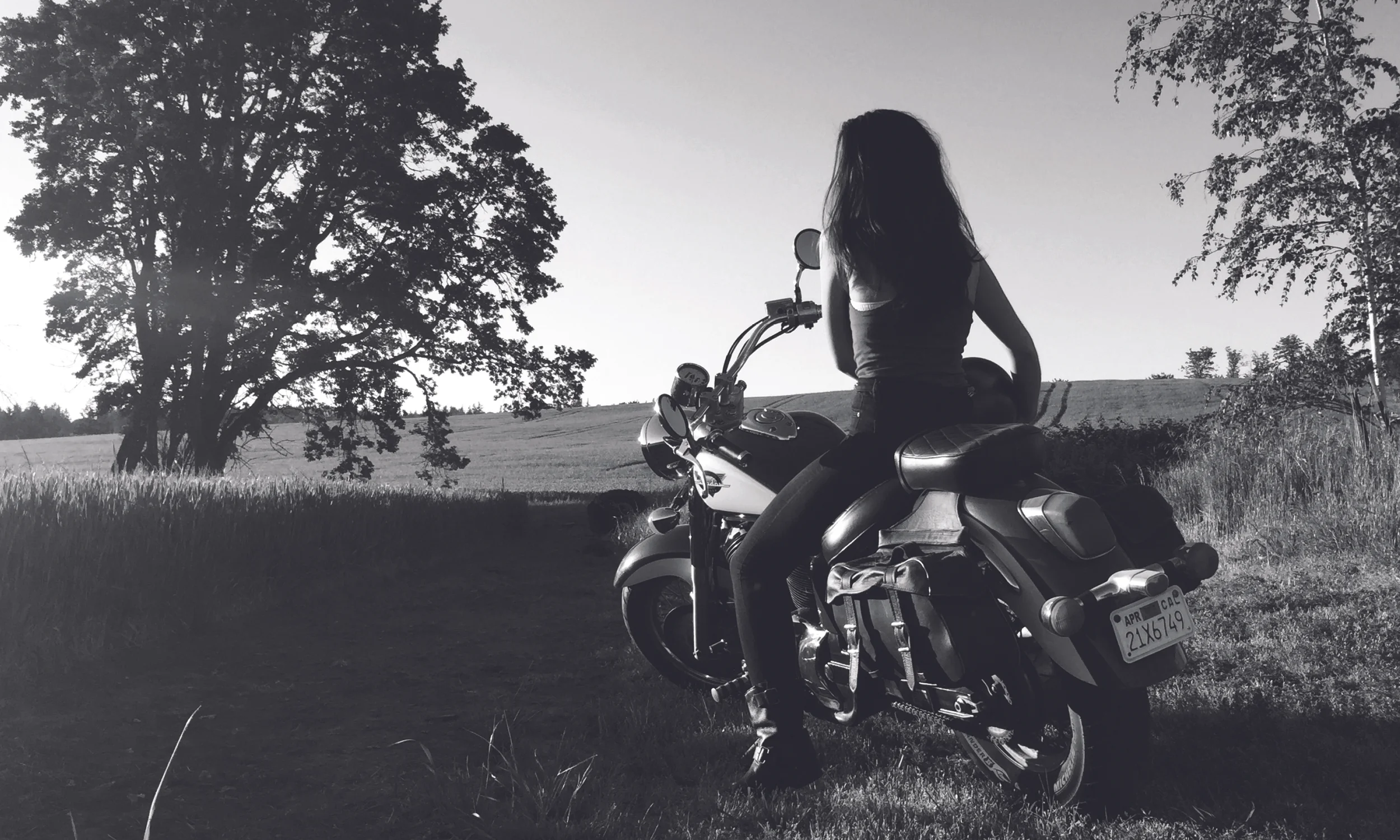 Hardtail Brandbook4.jpg