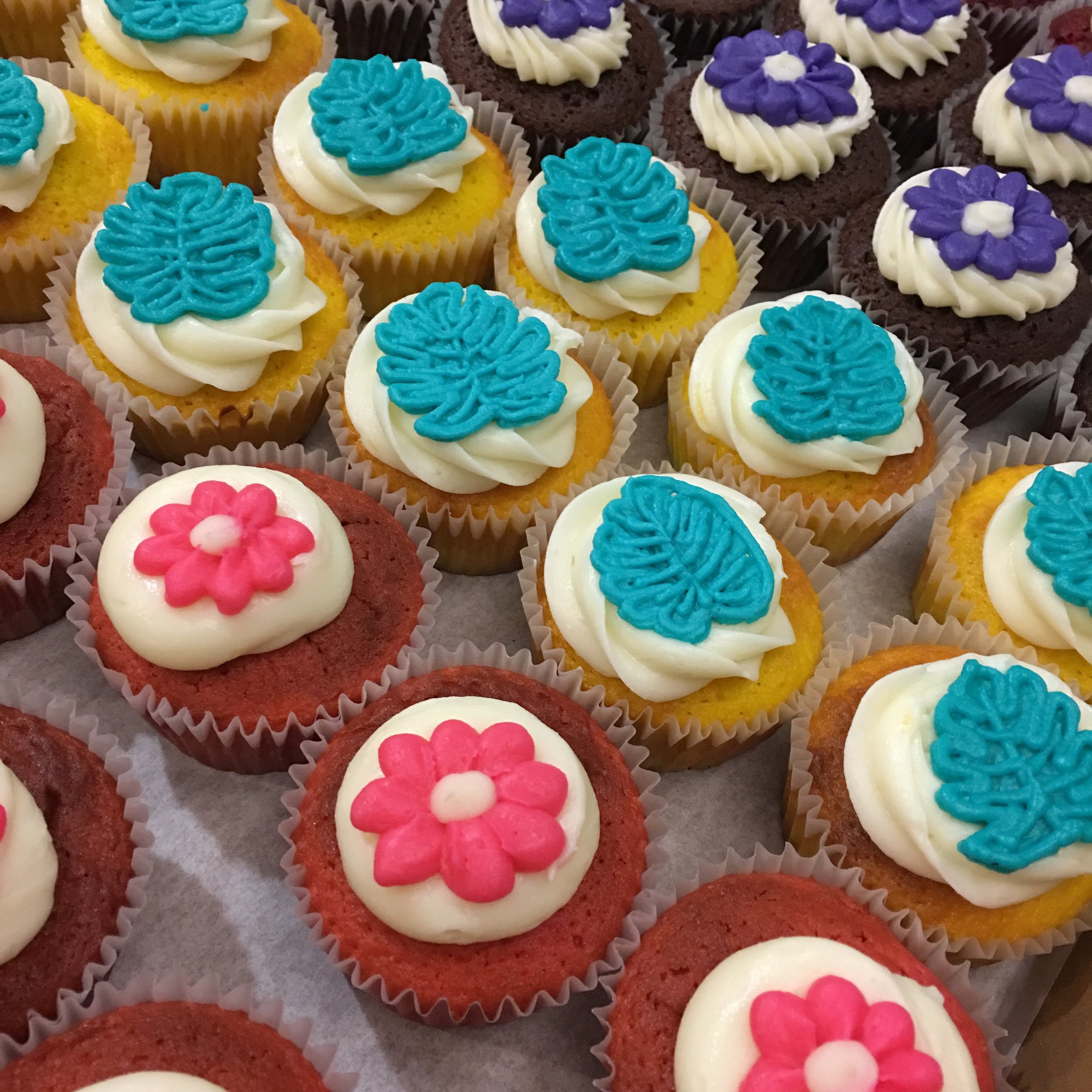 Cupcake Photos Hokulani Bake Shop