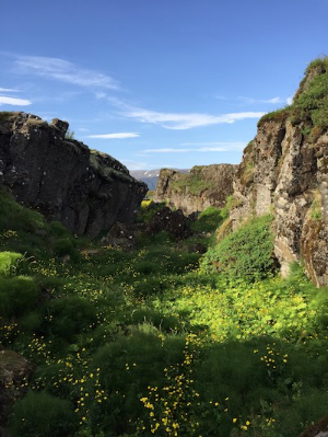 Thingvellir, where Gunnar first met Halgerd (R. Fidler).