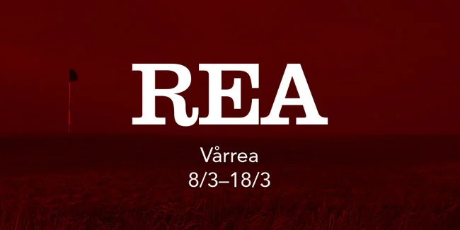 Dormy-vår-rea.jpg