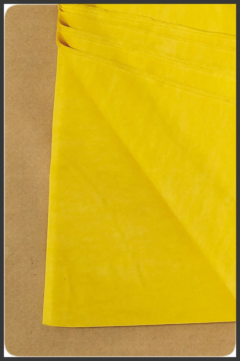 Fillo_Yellow_Sh.jpg