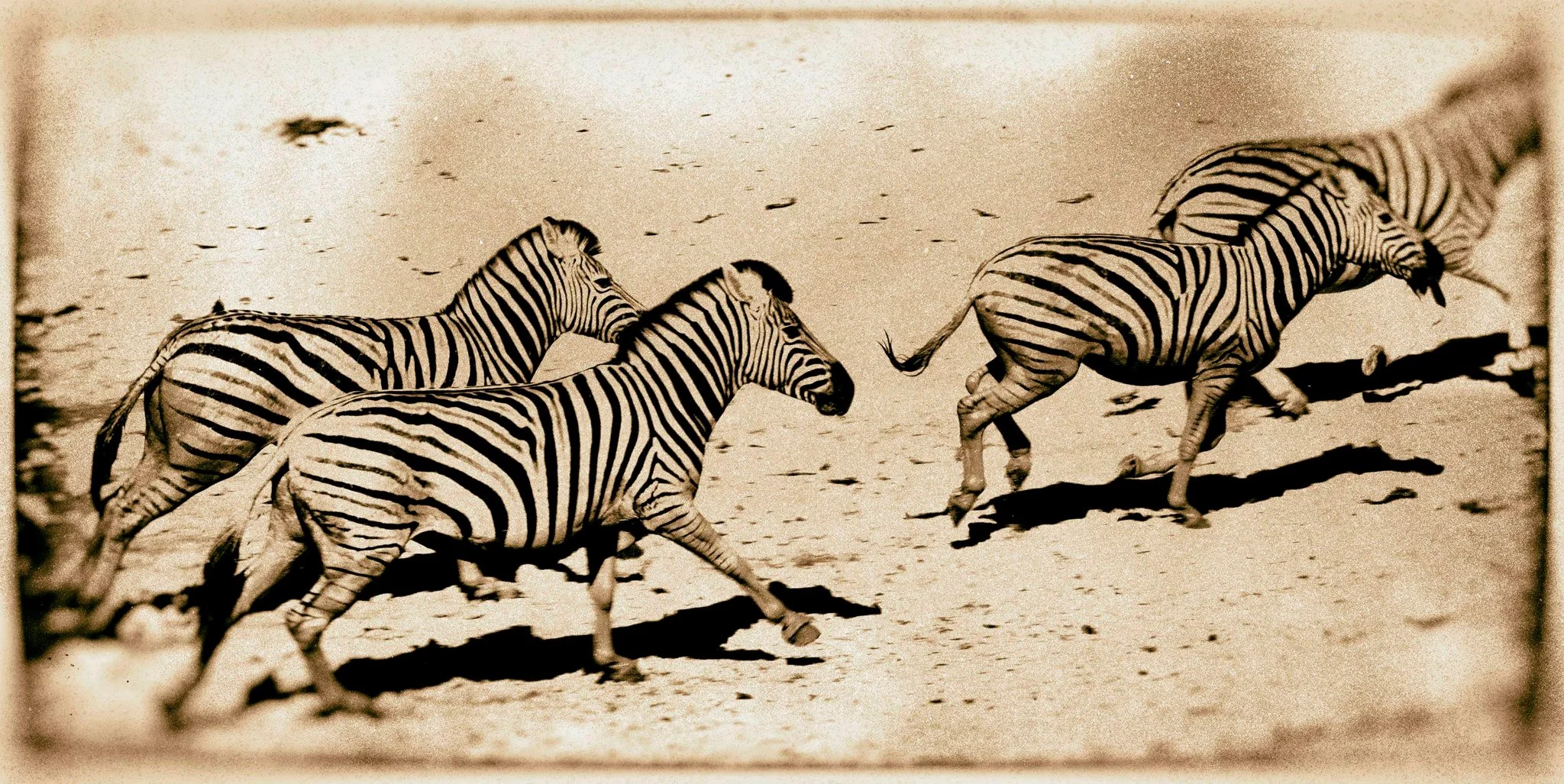 namibia 4.jpg