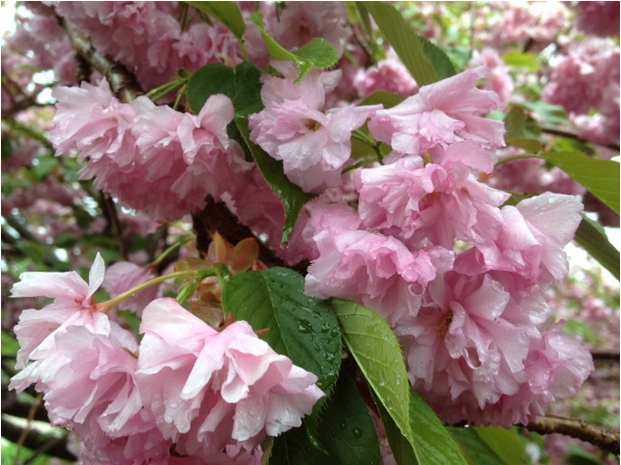 Caught in a Rainstorm