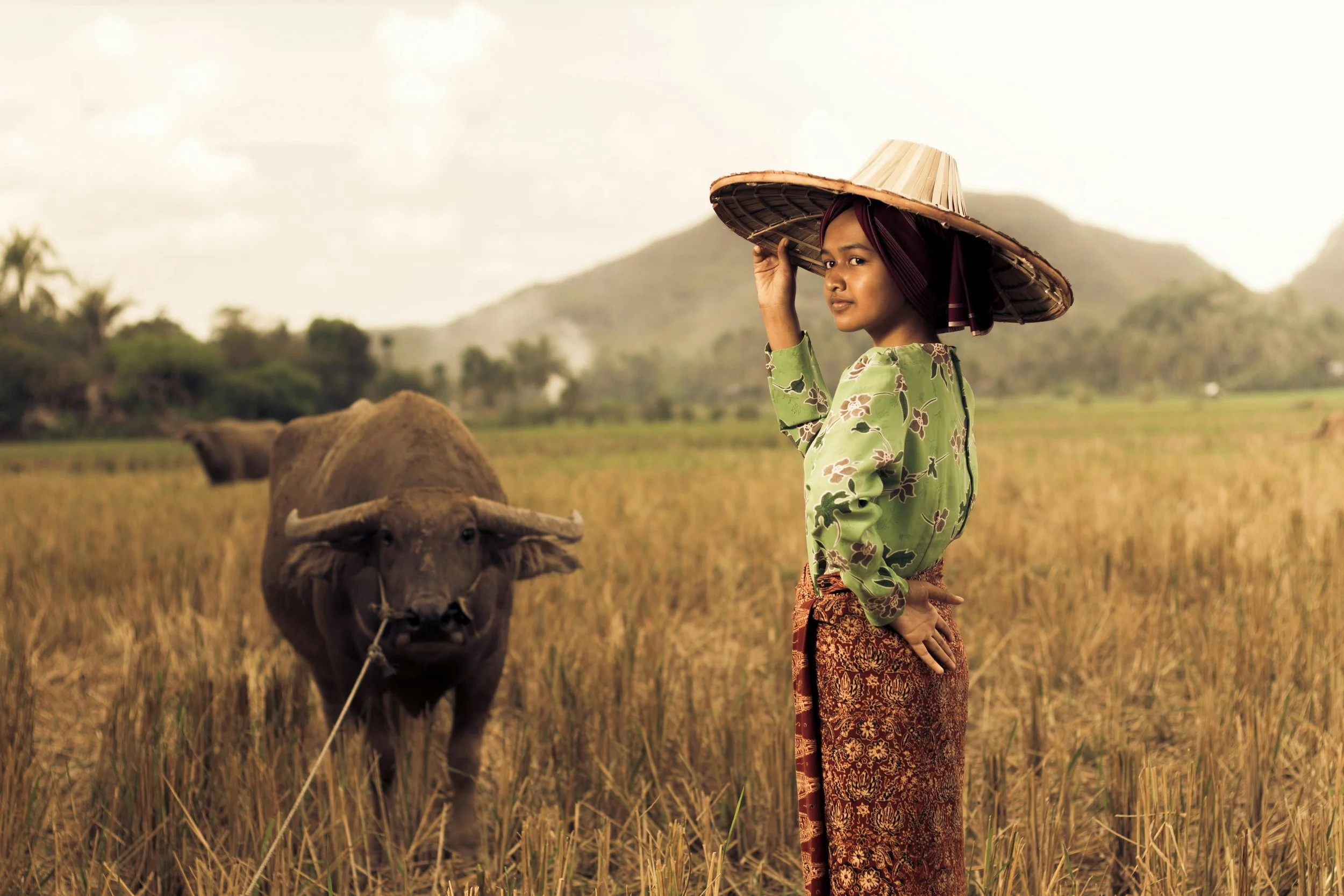 Beyond Fluency: Cultural Intelligence as Competitive Advantage in Global Communications