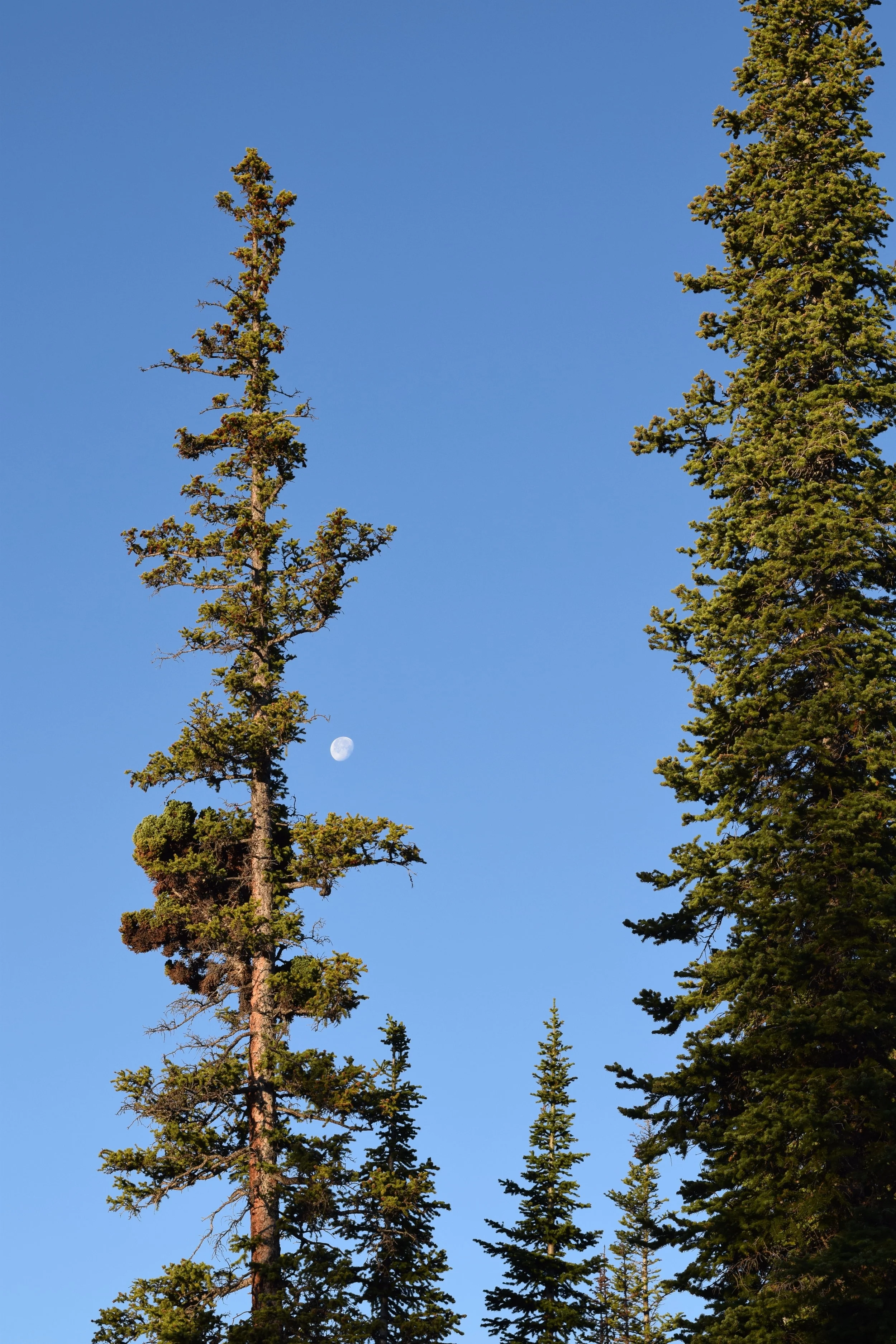 DSC_0092.jpg